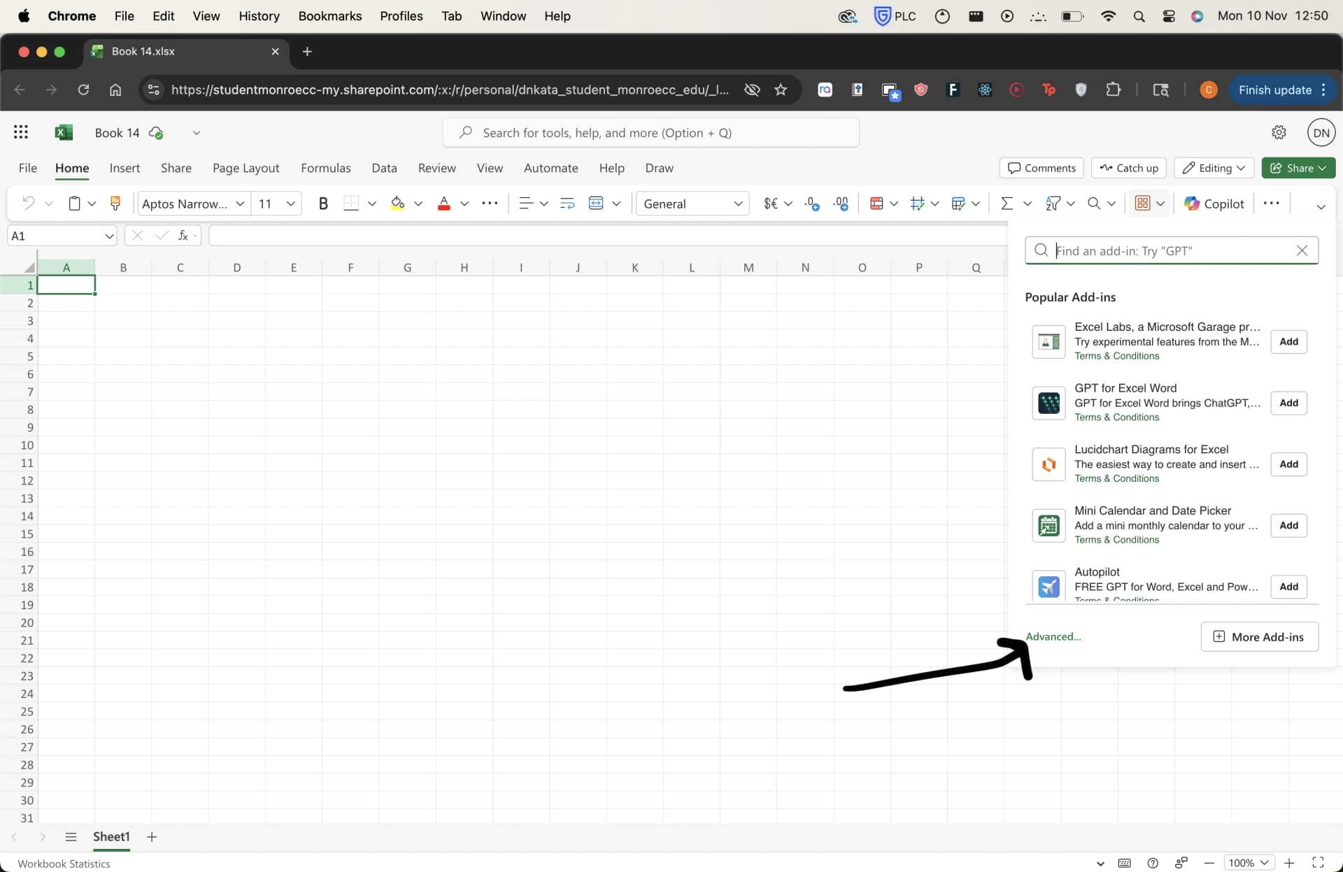 Add-ins panel showing Advanced option